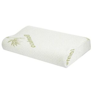 Bamboo Cover Memory Foam Bed Pillow