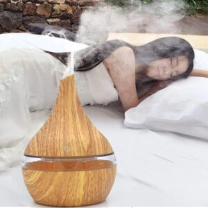 LED Essential Oil Diffuser and Humidifier