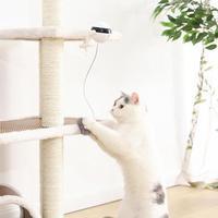 Interactive Motion Cat Toy