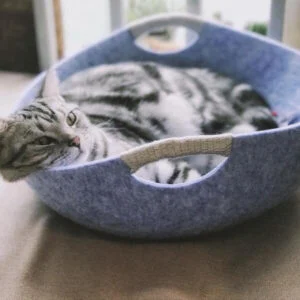 Felt Cat Bed Basket with Cushion, Oval Pet Nest with Handles for Cats and Small Dogs