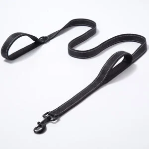 Reflective Nylon Dog Leash with Padded Traffic Handle, 5 ft or 6 ft