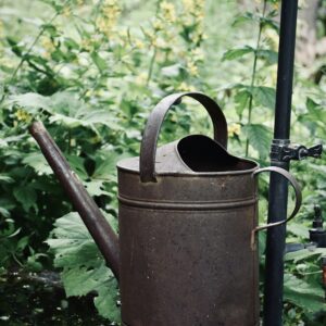 Metal Watering Can